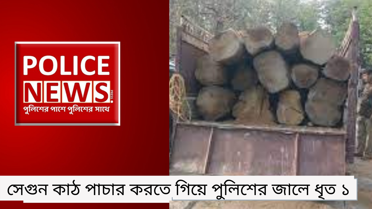 সেগুন কাঠ পাচার করতে গিয়ে পুলিশের জালে ধৃত ১