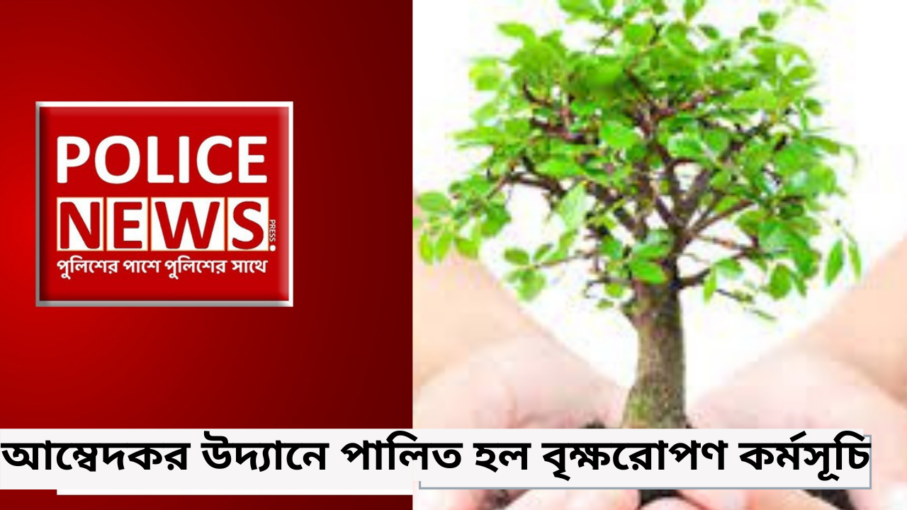 আম্বেদকর উদ্যানে পালিত হল বৃক্ষরোপণ কর্মসূচি